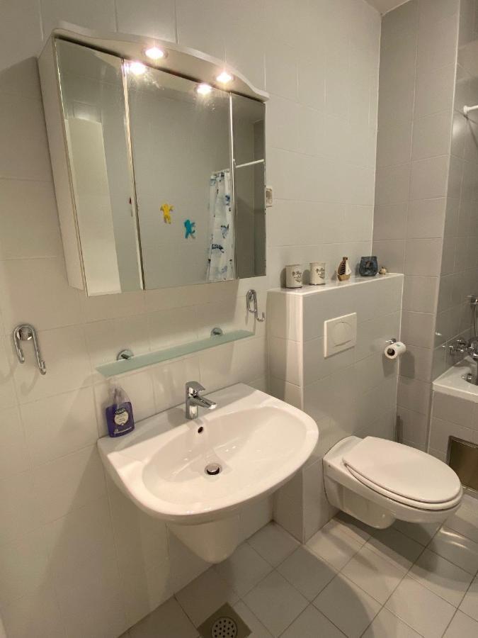 Apartma Felicija Ljubljana Kültér fotó